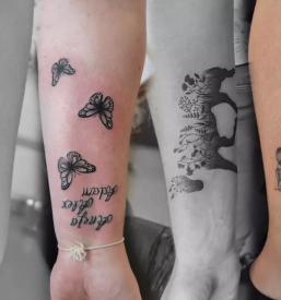 Kvaliteten tetovator zasavje