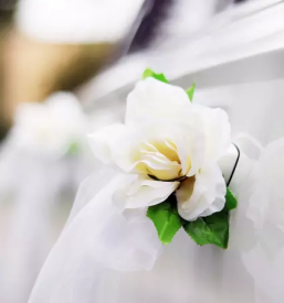 Vse za poroko stajerska