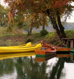 kanu na krki