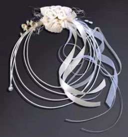 Party program maribor