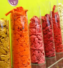 Party program maribor