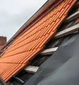 Dober krovec savinjska