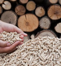 Poceni peleti Primorska