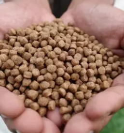 Lesni peleti slovenija