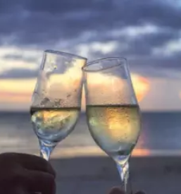 Vinogradnistva stajerska