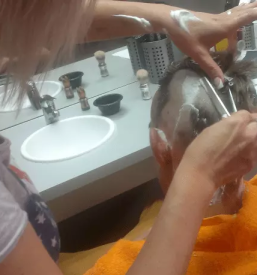 Dober frizerski salon lendava