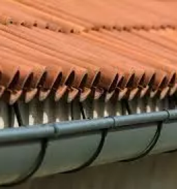 Kvaliteten krovec savinjska