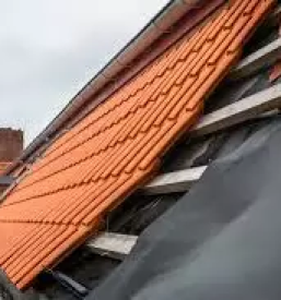 Kvaliteten krovec savinjska