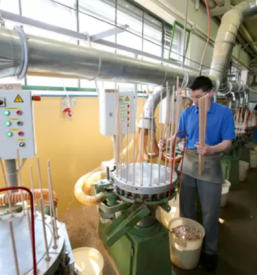 Lesni mozniki slovenija