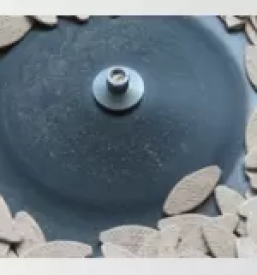 Lesni mozniki slovenija