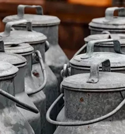 Odkup mleka v Posavju