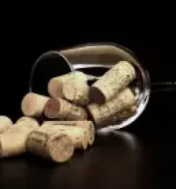 Vrhunska vina limbus