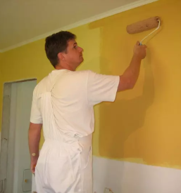 Najboljši pleskar Štajerska