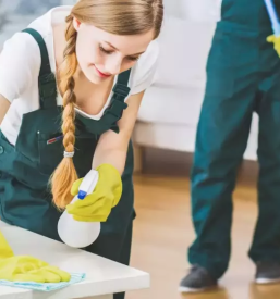 Kvalitetno ciscenje stanovanj ljubljana in okolica