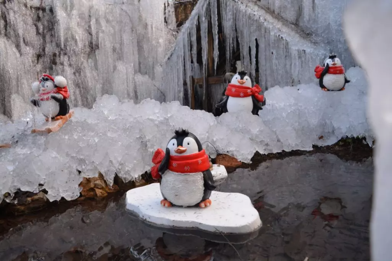 Ogled ledene dežele Mojstrana