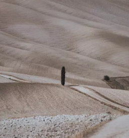 Poročne fotografije Ljubljana, okolica