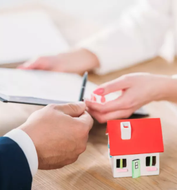 Prodaja his obala primorska