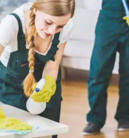 Ugodno ciscenje stanovanjskih objektov ljubljana