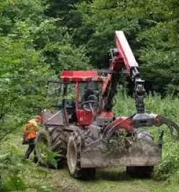 Kvalitetna gozdna mehanizacija slovenija