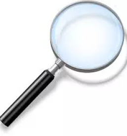 Privat detektiv savinjska