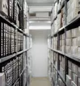 Privat detektiv savinjska