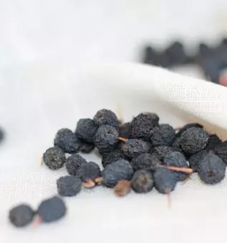 Bio caj aronije dolenjska