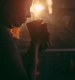 Bio caj aronije dolenjska