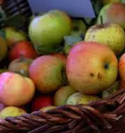 Bio jabolcni sok dolenjska