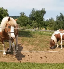 Case glamping nei dintorni di lubiana