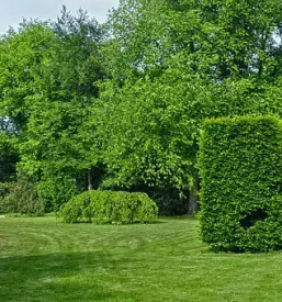 Vzdrzevanje zelenih povrsin posavje