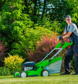 Vzdrzevanje zelenih povrsin posavje
