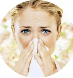 Zeliscna terapija ljubljana