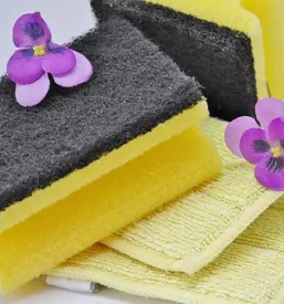 Cistilni servis obala