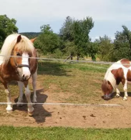 Glamping hiske v okolici ljubljane
