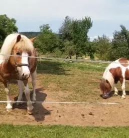 Glamping hiske v okolici ljubljane