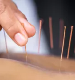 Tradicionalna kitajska medicina ljubljana