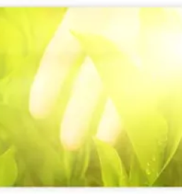 Ugodna akupunktura ljubljana