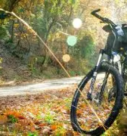 Apartment rental poljanska dolina