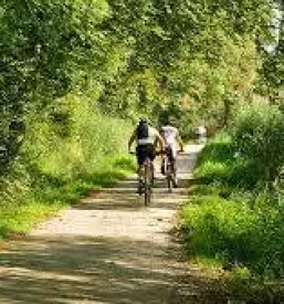 Gunstige wohnungen in poljanska dolina