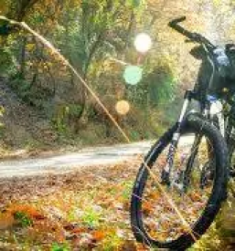 Gunstige wohnungen in poljanska dolina