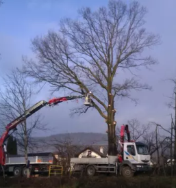 Ureditev elektro prikljuckov osrednja slovenija