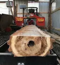 Zaganje lesa slovenija