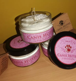 Pasji hotel v sloveniji