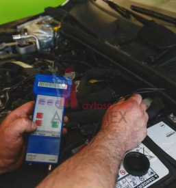 Avtodiagnostika goriska