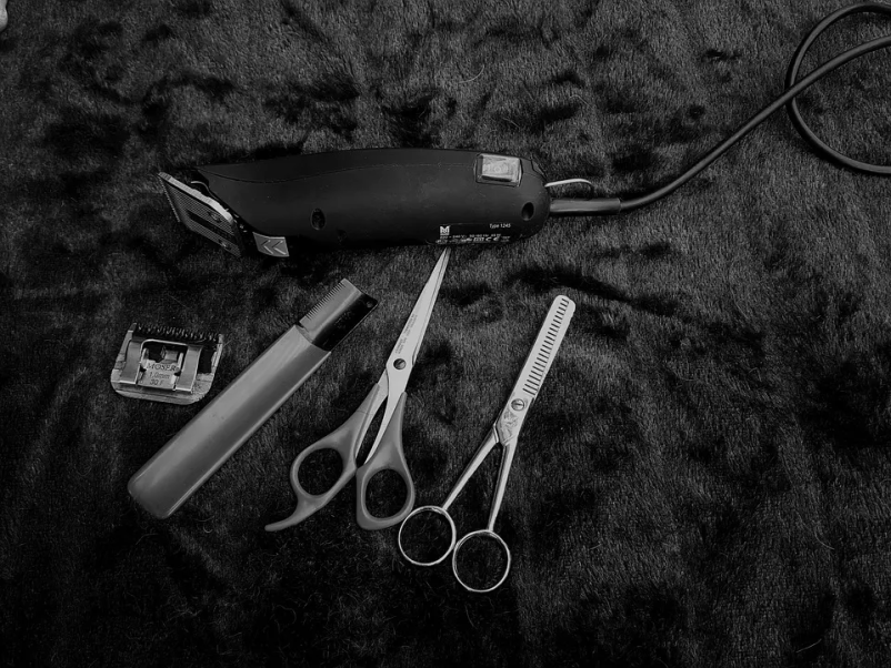 Frizerski salon Alma v Novi Gorici