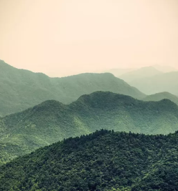 Kvalitetno svetovanje za osebno rast ljubljana