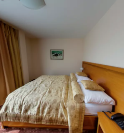 Najboljsi hotel koroska