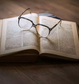 Ocala z dioptrijo na koncesijo trebnje