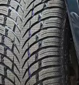 Premontaza gum pomurje