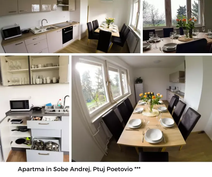 Ptuj apartmaji